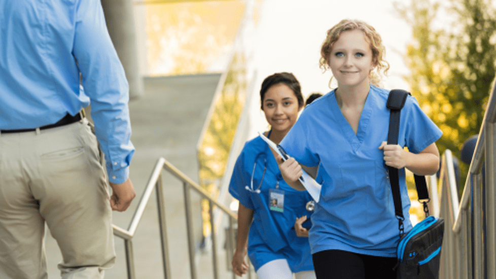 Top BSN to MSN Online Programs 2026