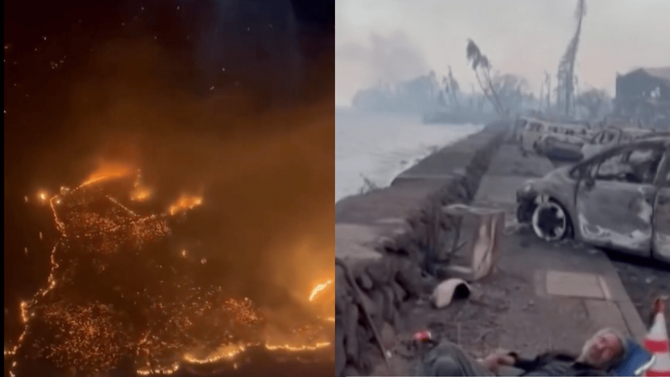 Maui Wildfires 2023, How Nurses Can Help