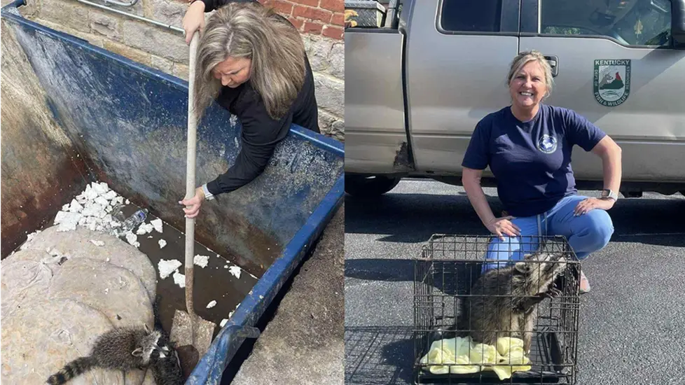 Photos of Kentucky nurse Misty Combs who found and saved a raccoon passed out in a dumpster.