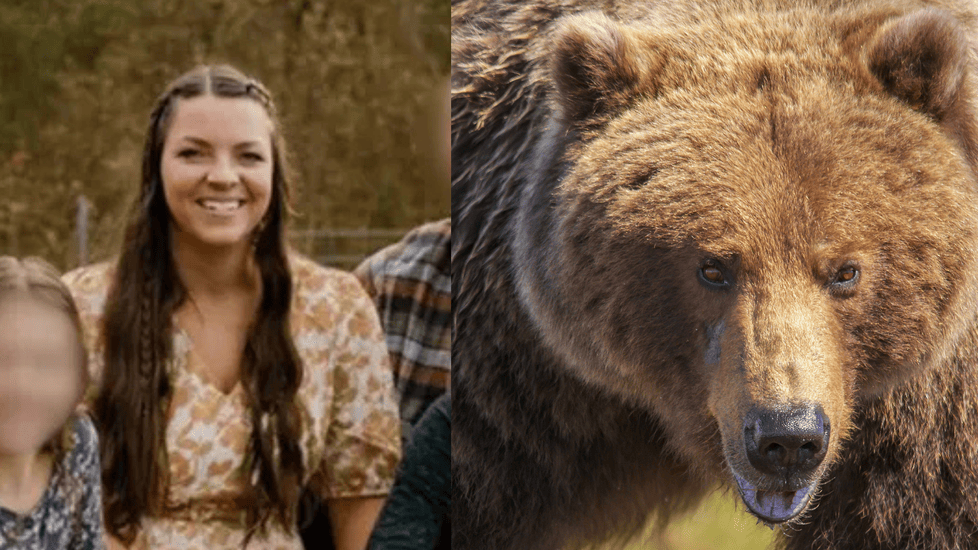 Bear Attack in Alaska Leaves Nurse Critically Injured—Community Rallies Behind Her