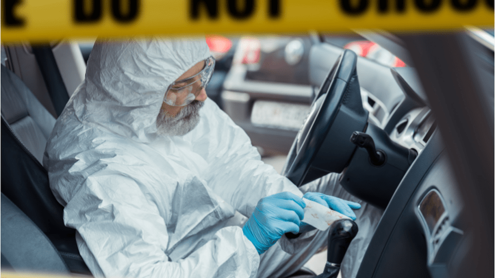 Best Forensic Nursing Programs of 2024 | Nurse.org