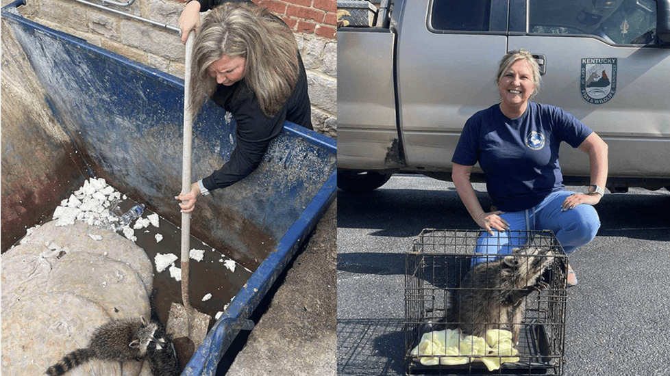 Photos of Kentucky nurse Misty Combs who found and saved a raccoon passed out in a dumpster.
