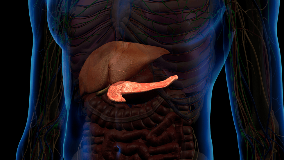 FDA Approves Wearable “Electric Field” Device for Pancreatic Cancer