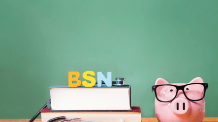 BSN Article
