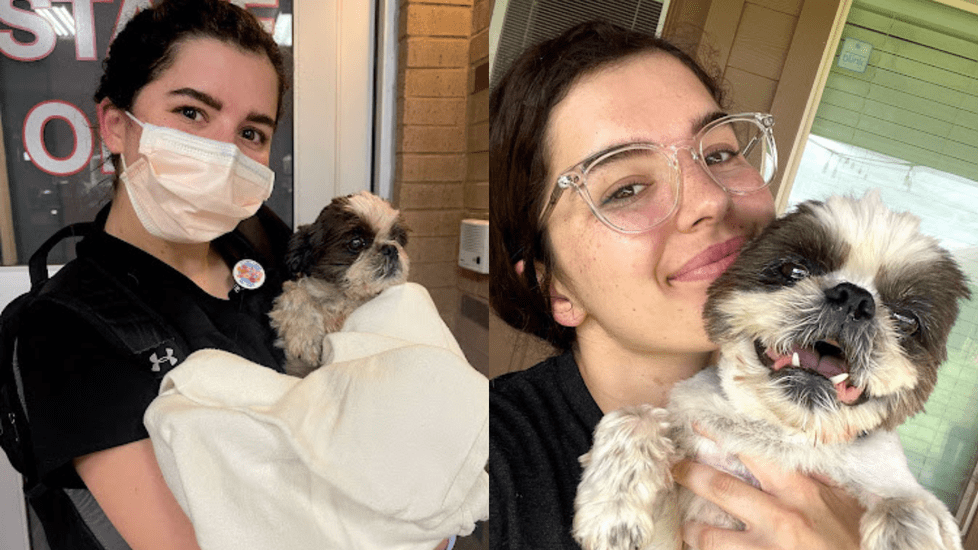 Travel Nurse Fosters Homeless Patient’s Dog "Charlie"