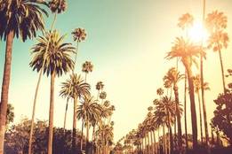 direct entry msn california