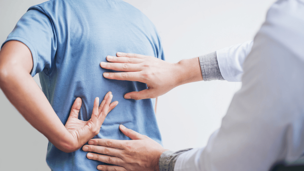 Top 10 Online Physical Therapy Programs for 2026