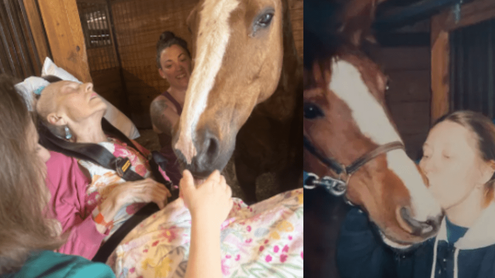 Hospice Nurse Helps Patient Reunite With Beloved Horse