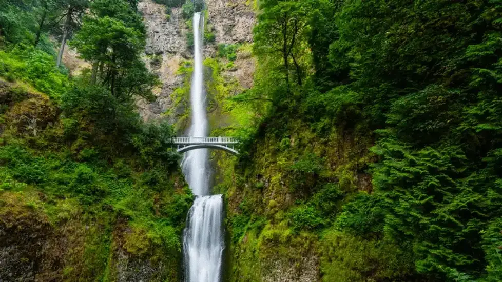 Top PMHNP Programs in Oregon