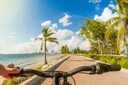 direct entry msn florida