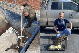 Photos of Kentucky nurse Misty Combs who found and saved a raccoon passed out in a dumpster.