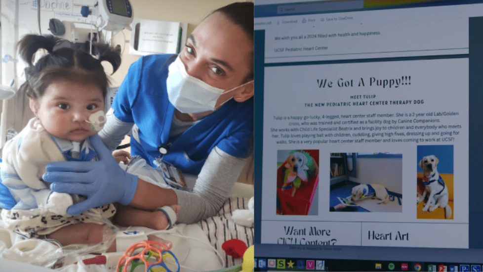 How a Pediatric Nurse's Program Keeps Patients and Care Teams United Post-Discharge