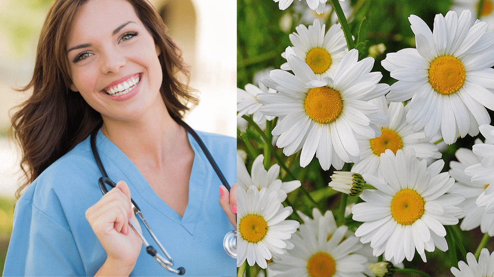 What is the Daisy Award and What Does Getting one Mean?